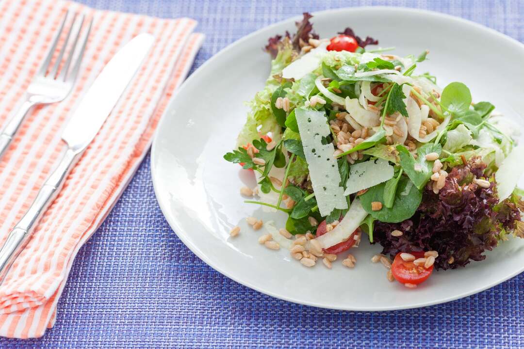 Shaved Fennel & Pecorino Salad
