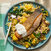 Salmon & Creamy Dill Sauce