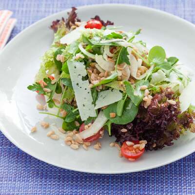 Shaved Fennel & Pecorino Salad